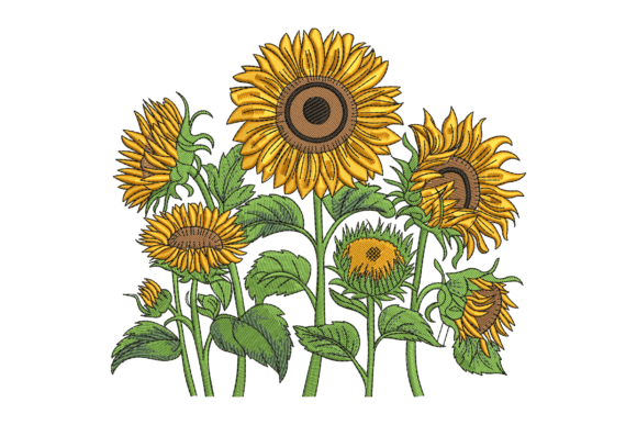 Beautiful Sunflowers: A Designer's Practical Review