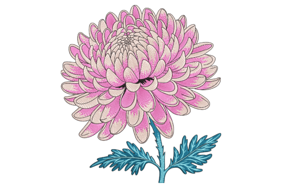 Chrysanthemum Blossom Embroidery Review for Apparel