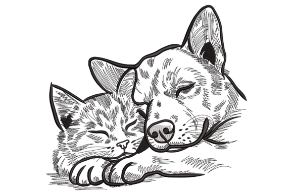 Sleeping Cat and Dog: A Seller's Review